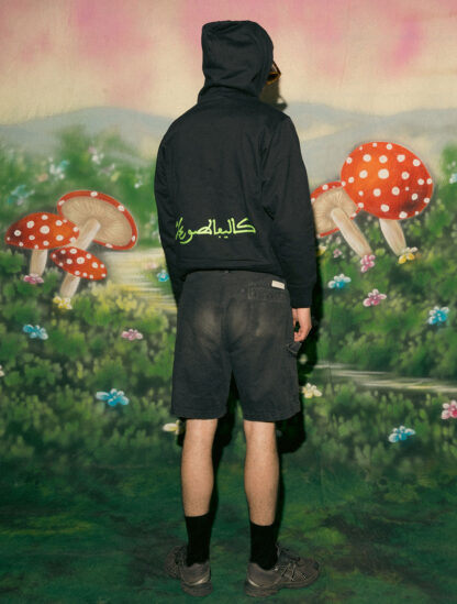 SUDADERA CAPUCHA BORDADA - Imagen 2